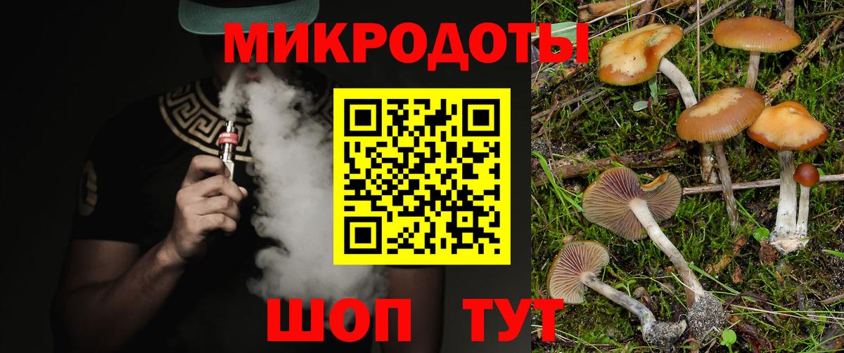 Балаково  Псилоцибиновые грибы MAGIC MUSHROOMS  купить  цена  Галлюциногенные грибы Psilocybe  Вход с VPN 